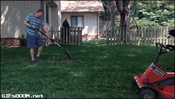 Yard work with dog mowing lawn