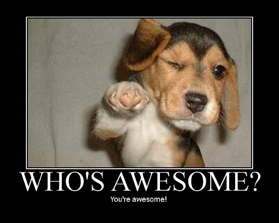 Puppy pointing with text "Who's Awesome? You're Awesome!"