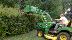 Trimming a hedge with lawnmower attached to tractor loader